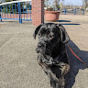 Meet your Posher, Lj